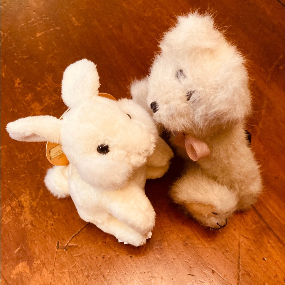 Mr bunny & Mr bear have a beautiful life together, soft and fuzzy and furry